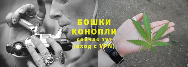 молекула духа Зеленодольск