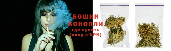 молекула духа Зеленодольск