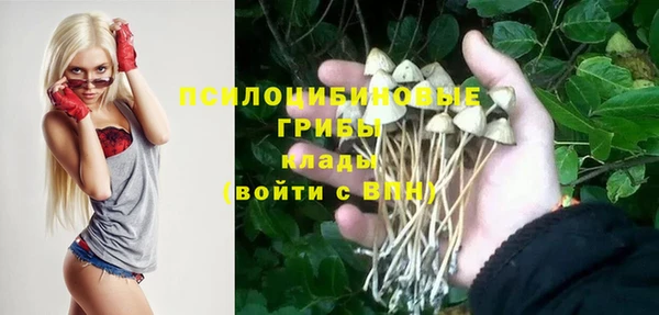 MDMA Premium VHQ Зеленокумск