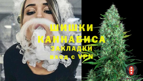 молекула духа Зеленодольск