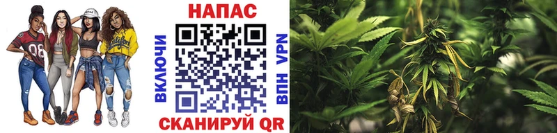 Марихуана Ganja  Купить где  Новодвинск 